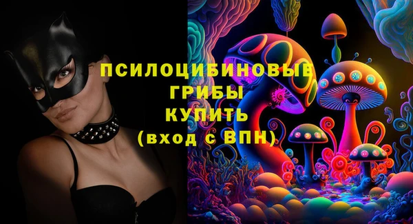 MDMA Premium VHQ Новозыбков