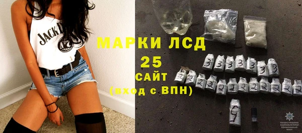 ALPHA PVP Няндома