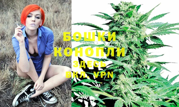 метадон Новодвинск