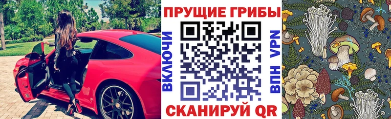 Купить где  Северобайкальск  Псилоцибиновые грибы Psilocybe 
